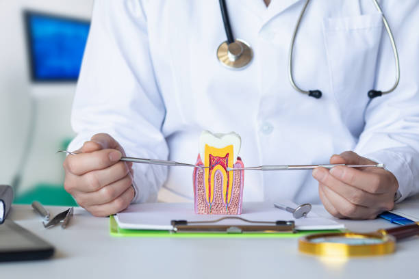 Best Emergency Orthodontic Repairs in Banks, OR